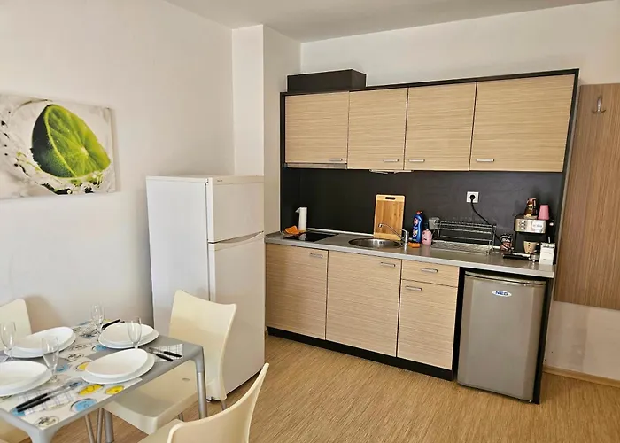 двустаен * 帕莫瑞